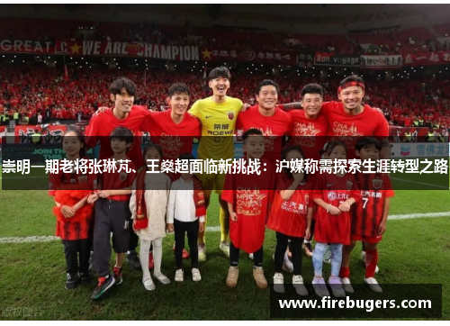 崇明一期老将张琳芃、王燊超面临新挑战：沪媒称需探索生涯转型之路